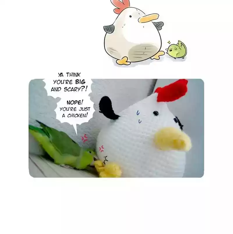 A Budgie's Life Chapter 105: Ep.105: