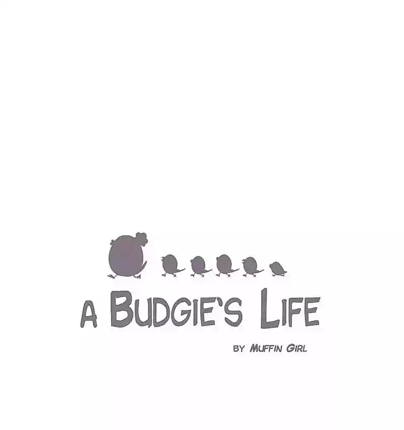A Budgie's Life Chapter 106: Ep.106: