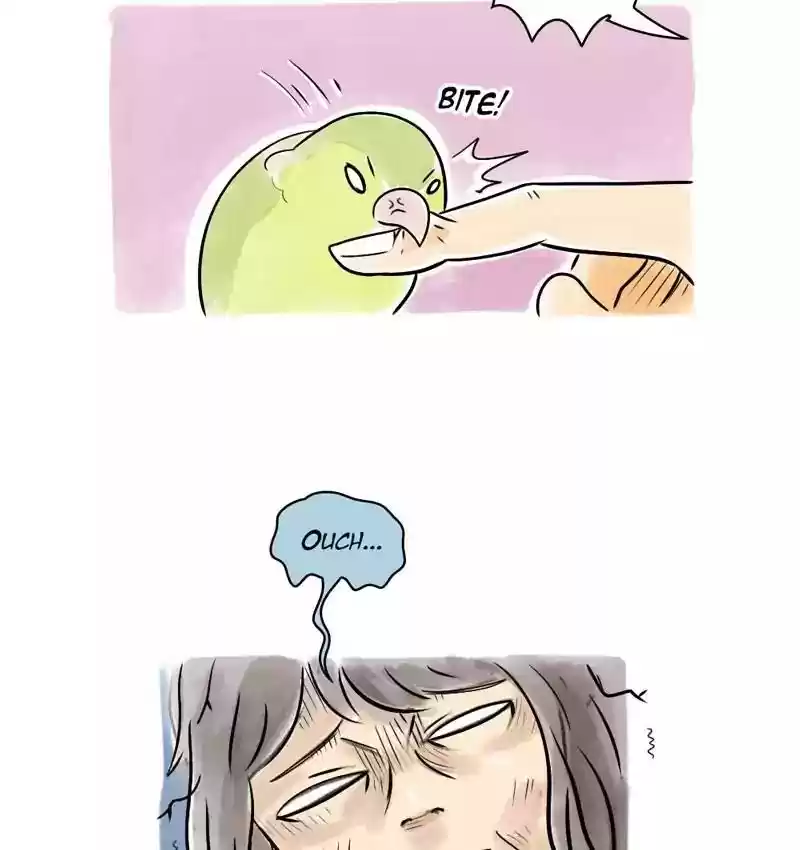 A Budgie's Life Chapter 106: Ep.106: