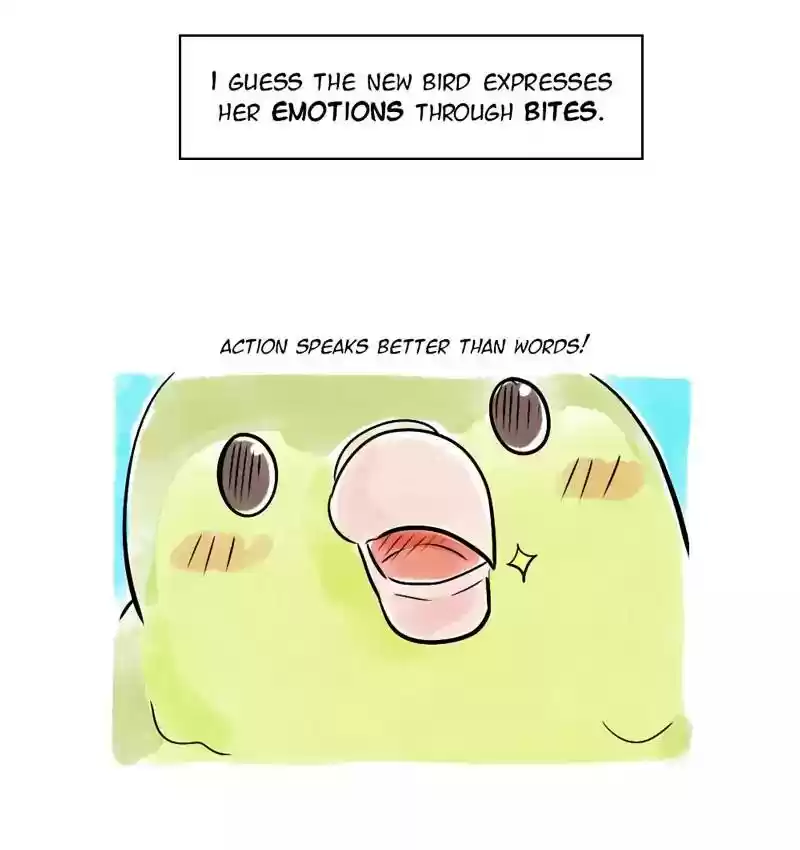 A Budgie's Life Chapter 106: Ep.106: