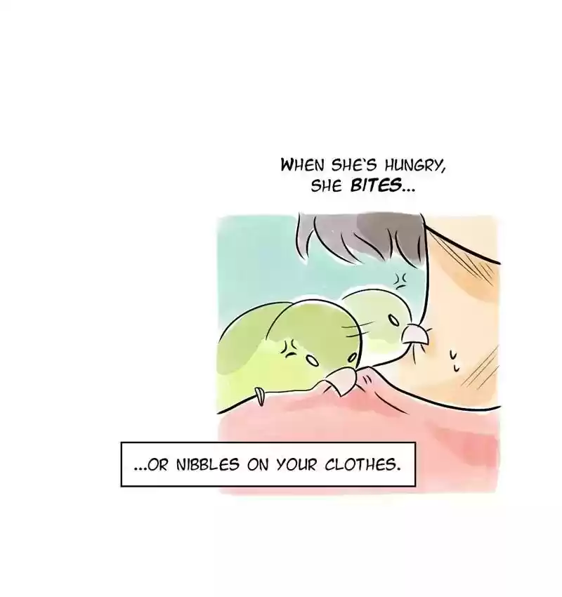 A Budgie's Life Chapter 106: Ep.106: