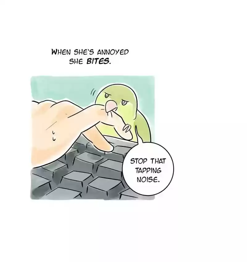 A Budgie's Life Chapter 106: Ep.106: