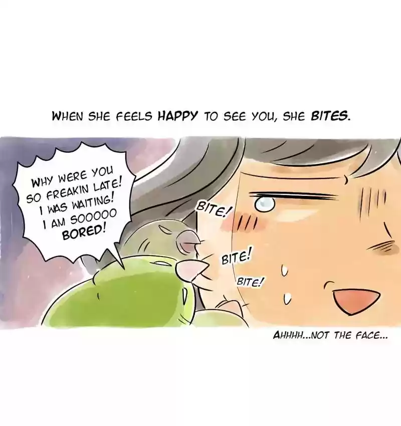 A Budgie's Life Chapter 106: Ep.106: