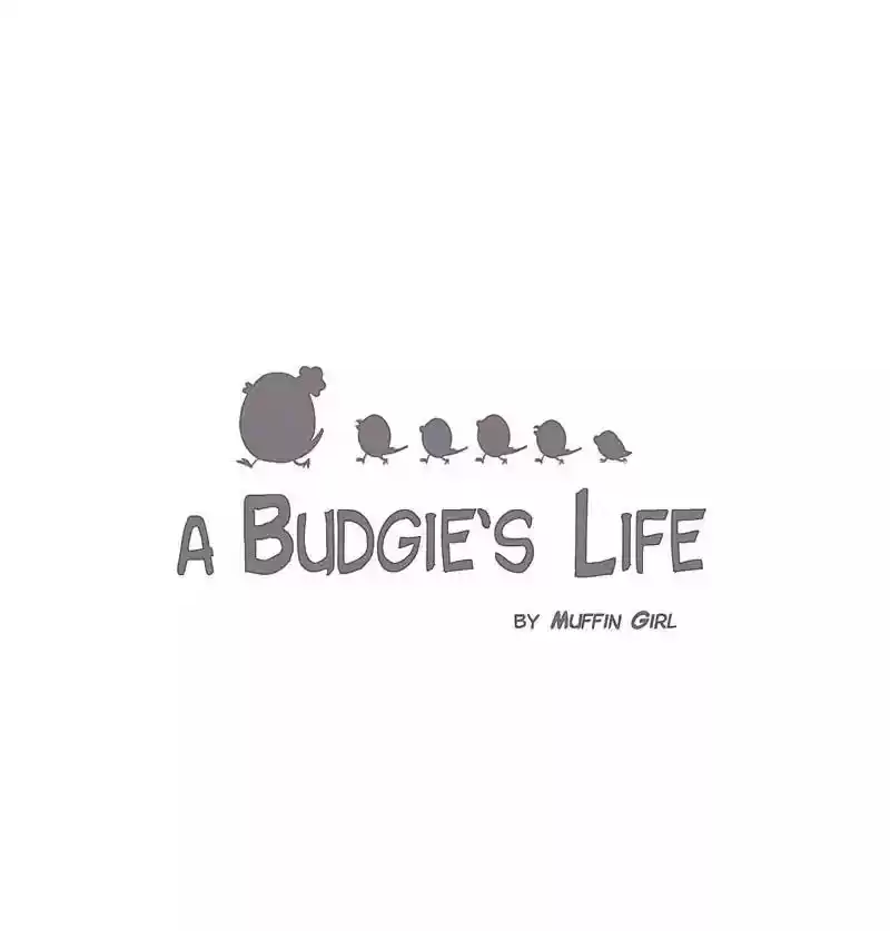 A Budgie's Life Chapter 107: Ep.107: