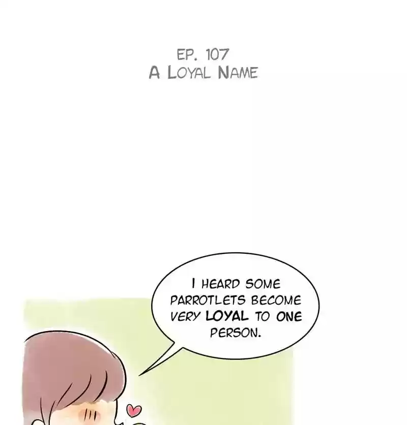 A Budgie's Life Chapter 107: Ep.107: