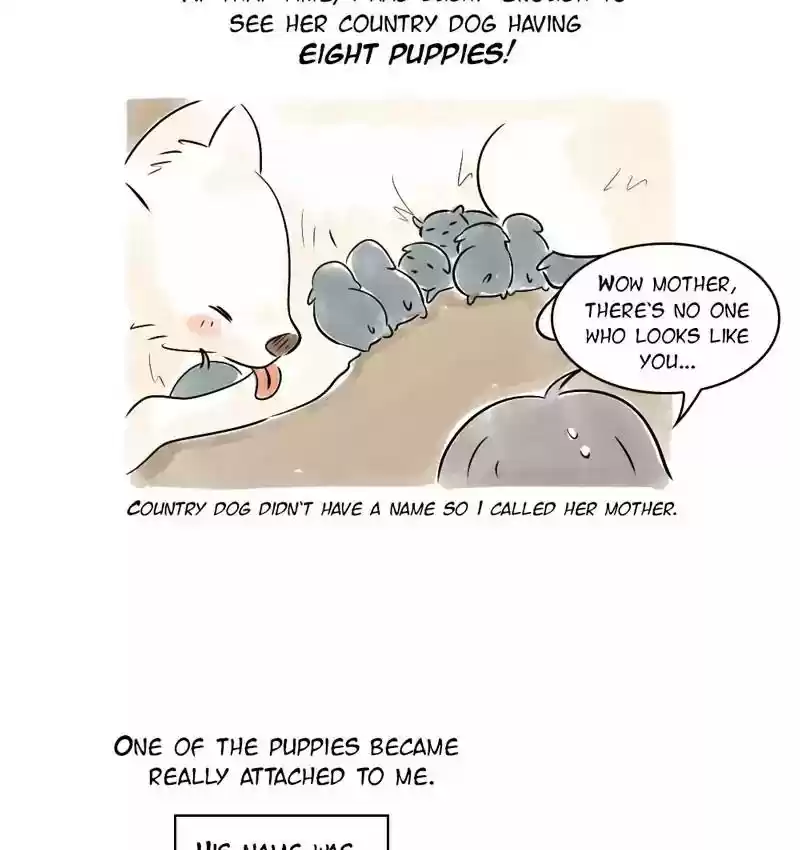 A Budgie's Life Chapter 107: Ep.107: