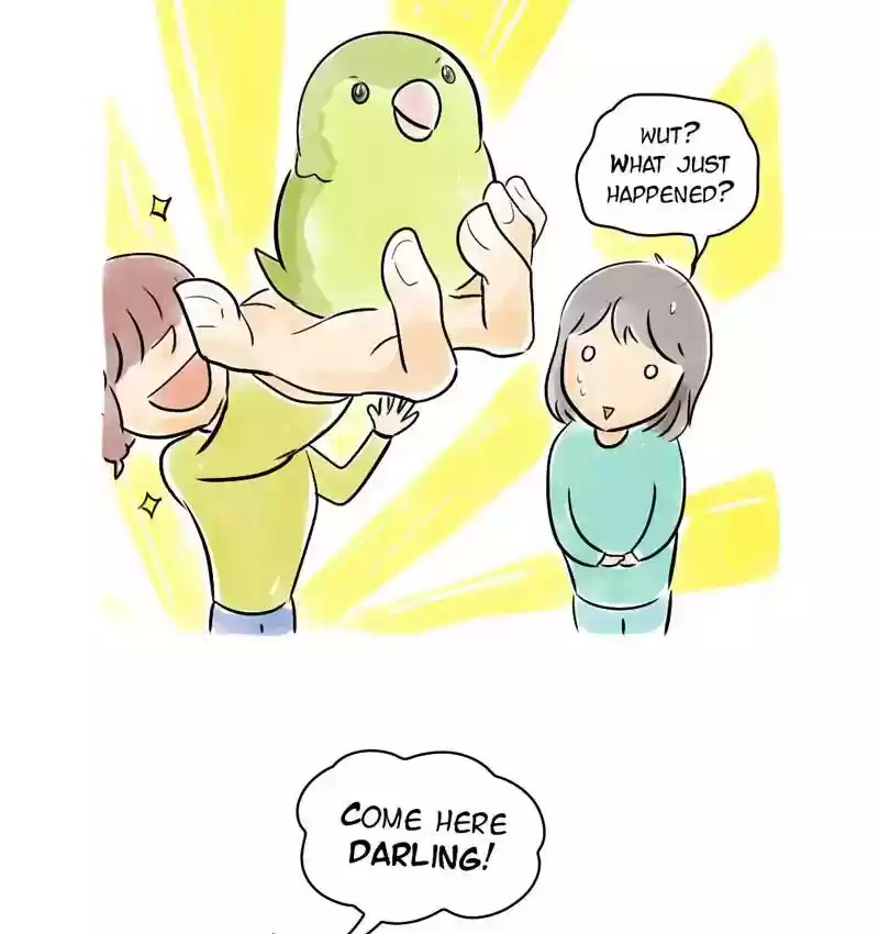 A Budgie's Life Chapter 107: Ep.107: