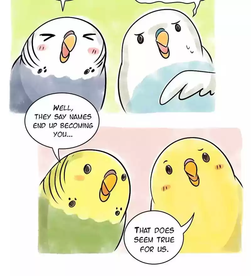 A Budgie's Life Chapter 107: Ep.107: