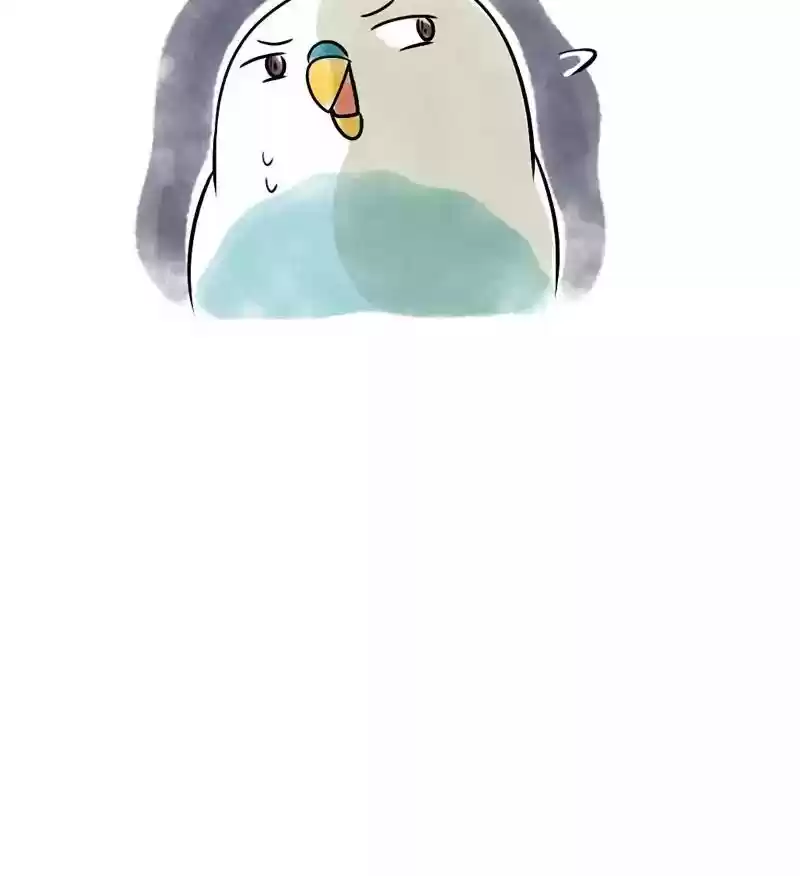 A Budgie's Life Chapter 107: Ep.107: