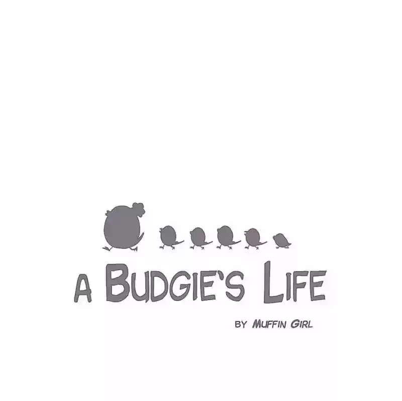 A Budgie's Life Chapter 108: Ep.108: