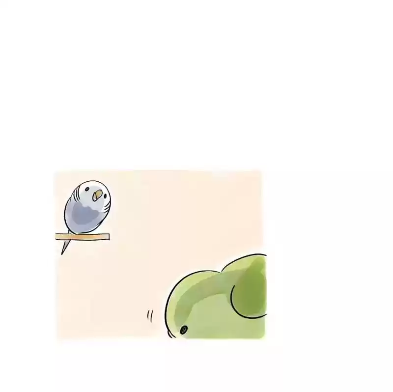 A Budgie's Life Chapter 108: Ep.108: