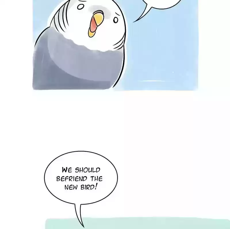 A Budgie's Life Chapter 108: Ep.108: