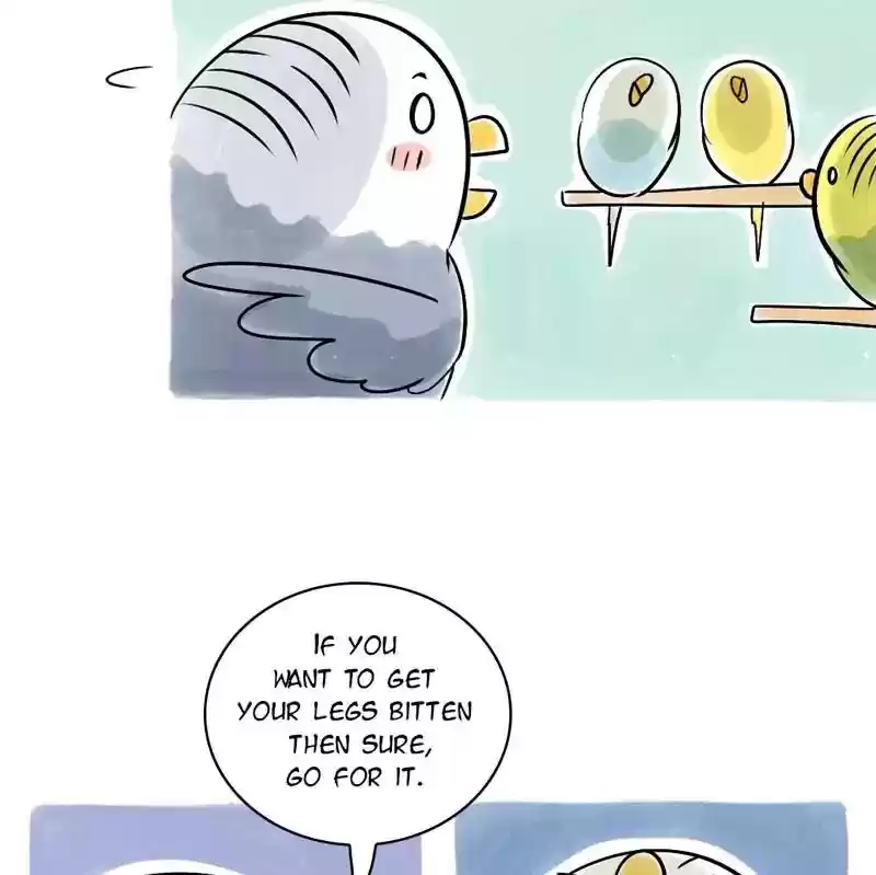 A Budgie's Life Chapter 108: Ep.108: