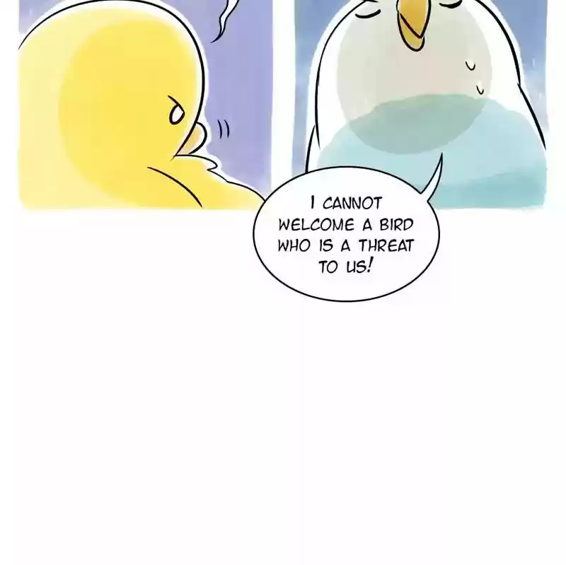 A Budgie's Life Chapter 108: Ep.108: