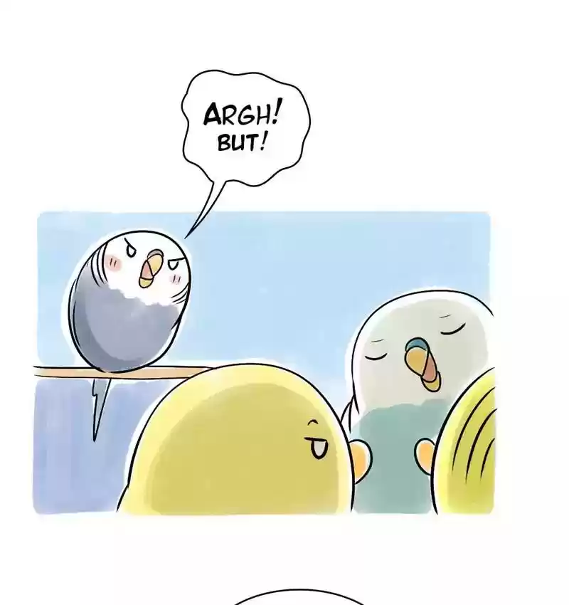 A Budgie's Life Chapter 108: Ep.108: