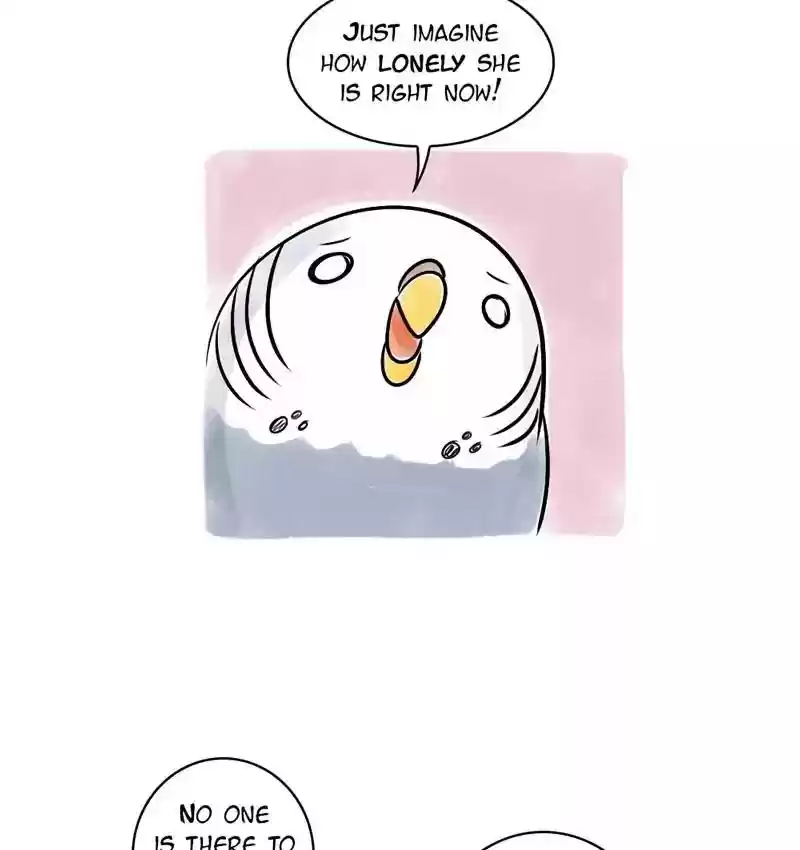 A Budgie's Life Chapter 108: Ep.108:
