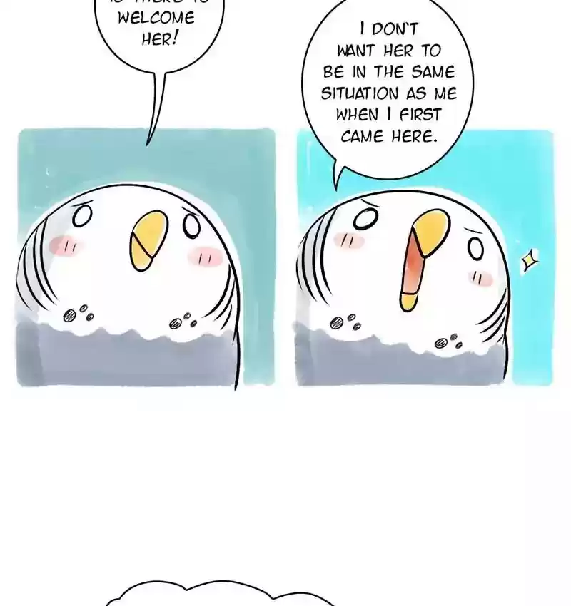 A Budgie's Life Chapter 108: Ep.108: