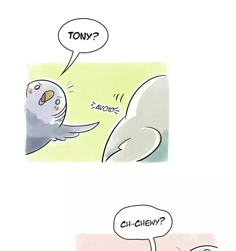A Budgie's Life Chapter 108: Ep.108: