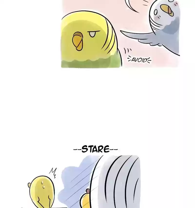 A Budgie's Life Chapter 108: Ep.108: