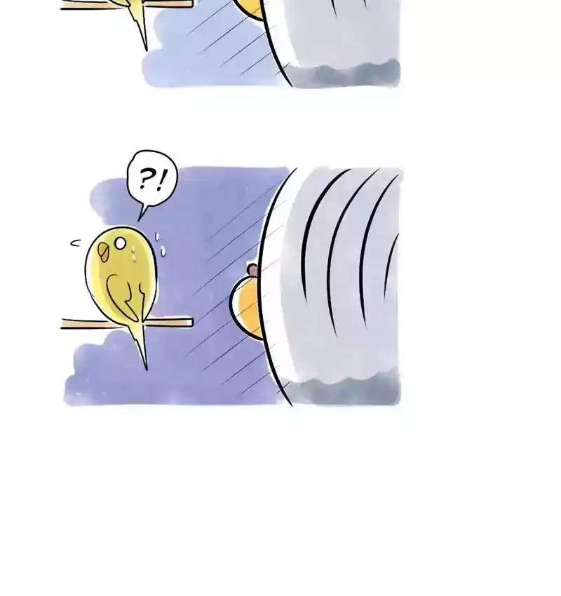 A Budgie's Life Chapter 108: Ep.108: