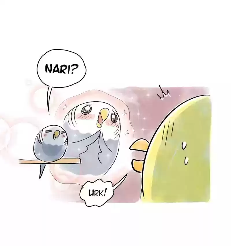 A Budgie's Life Chapter 108: Ep.108: