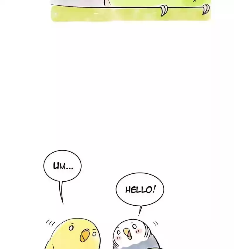 A Budgie's Life Chapter 108: Ep.108: