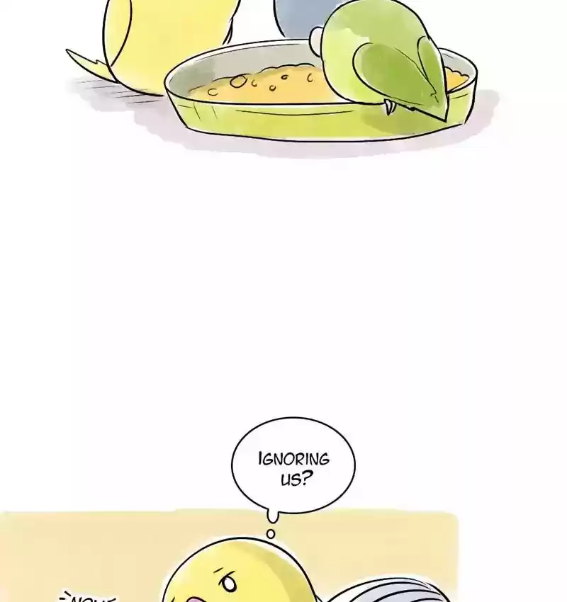 A Budgie's Life Chapter 108: Ep.108: