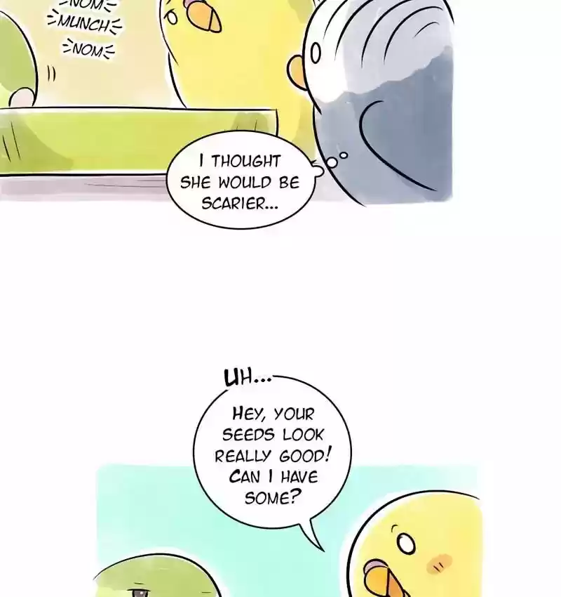 A Budgie's Life Chapter 108: Ep.108: