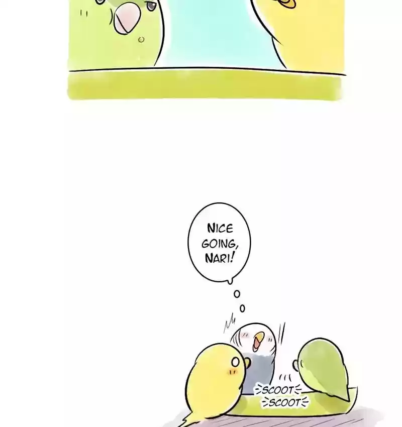 A Budgie's Life Chapter 108: Ep.108: