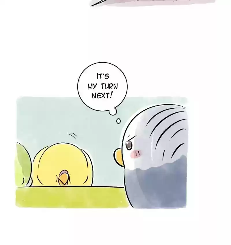 A Budgie's Life Chapter 108: Ep.108: