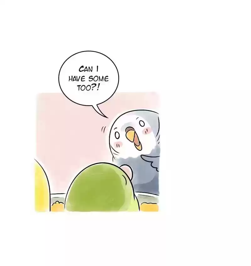 A Budgie's Life Chapter 108: Ep.108: