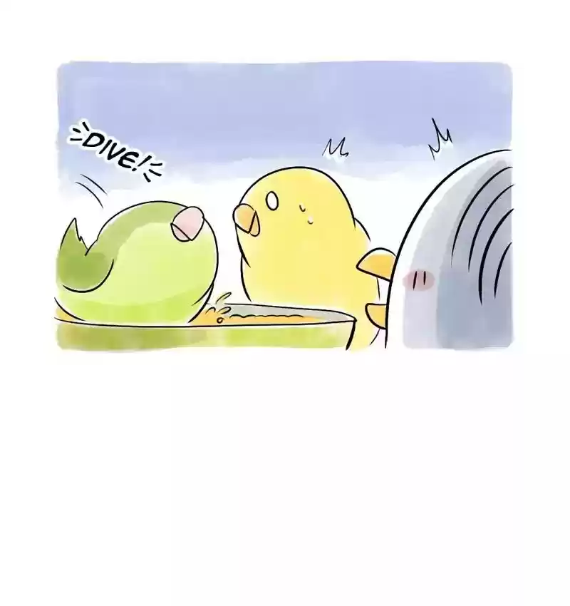 A Budgie's Life Chapter 108: Ep.108: