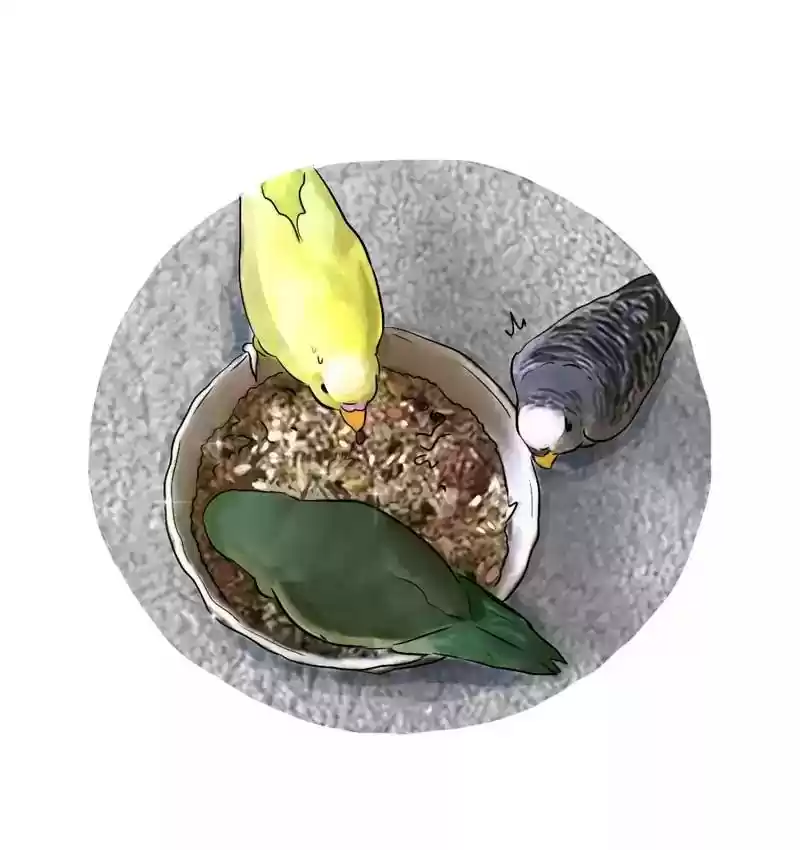 A Budgie's Life Chapter 108: Ep.108: