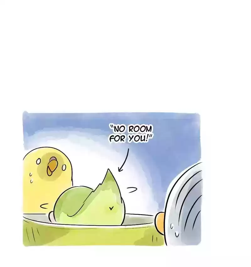 A Budgie's Life Chapter 108: Ep.108: