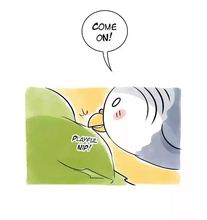 A Budgie's Life Chapter 108: Ep.108: