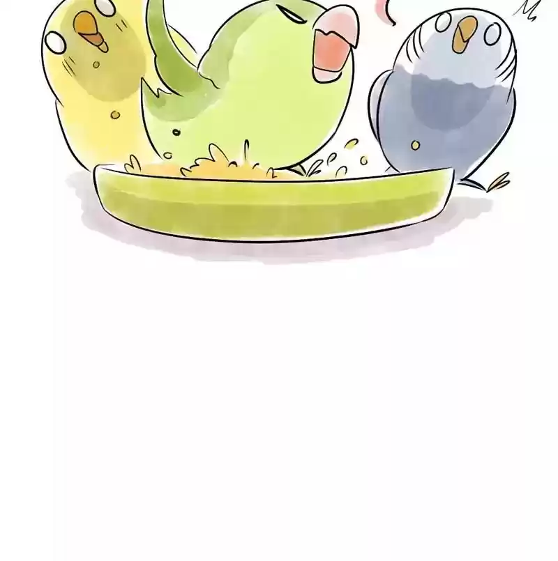 A Budgie's Life Chapter 108: Ep.108: