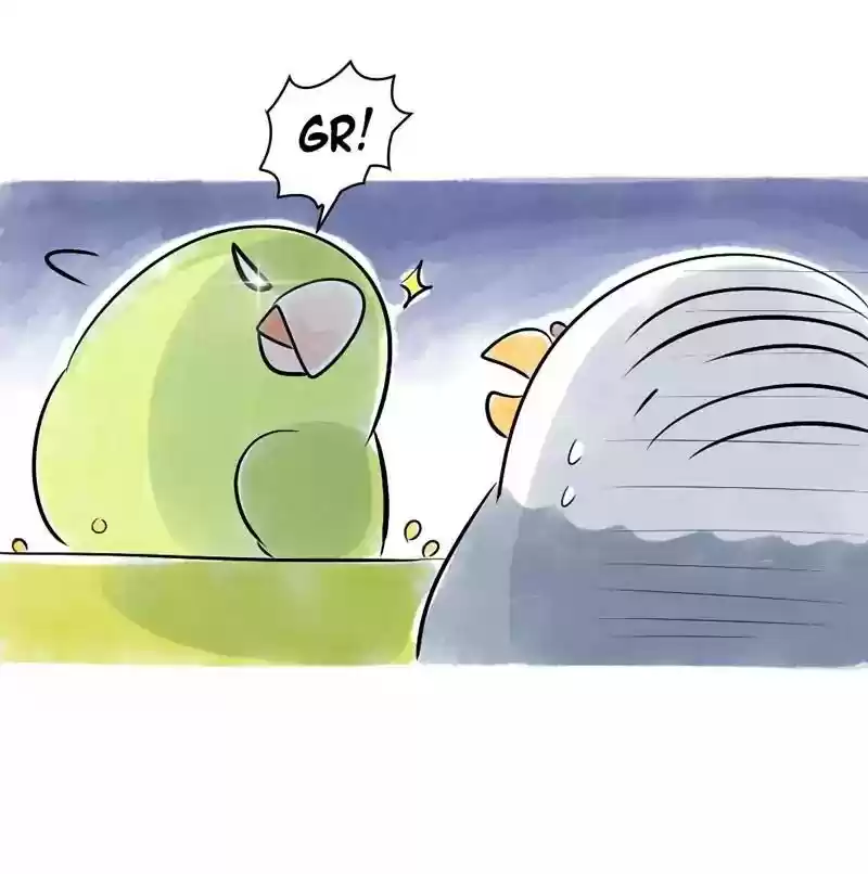 A Budgie's Life Chapter 108: Ep.108: