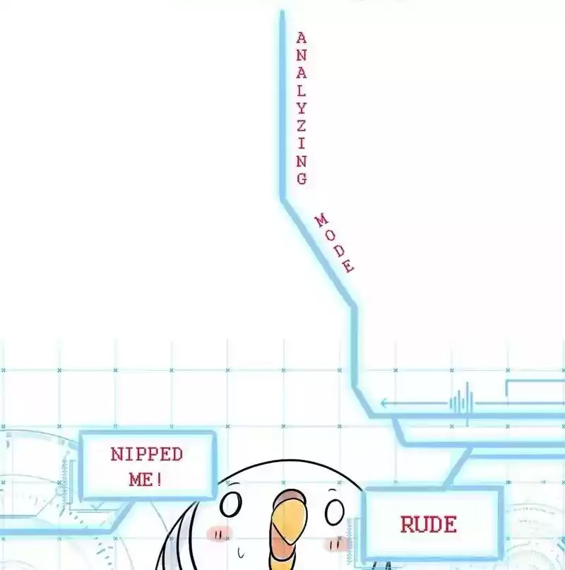 A Budgie's Life Chapter 108: Ep.108: