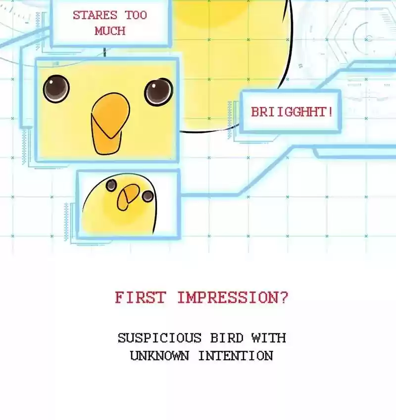 A Budgie's Life Chapter 108: Ep.108: