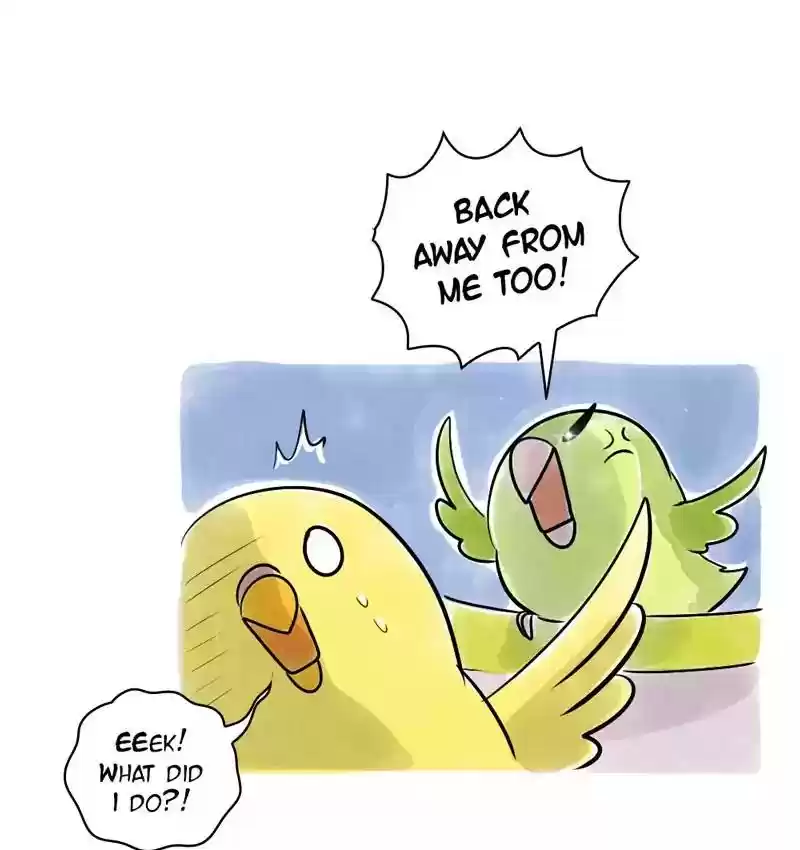 A Budgie's Life Chapter 108: Ep.108: