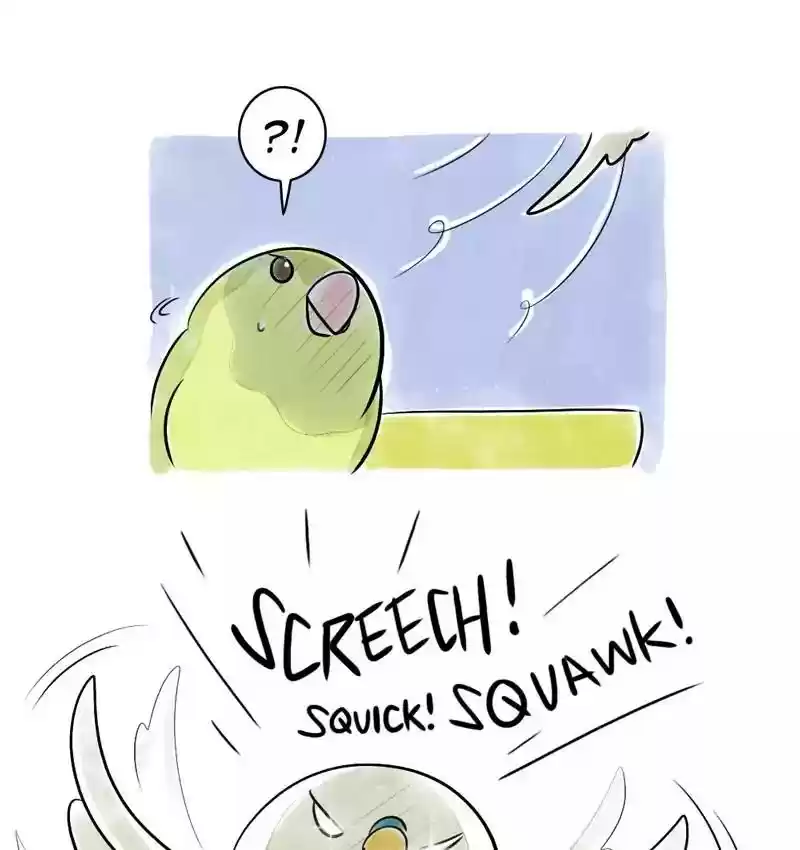 A Budgie's Life Chapter 108: Ep.108: