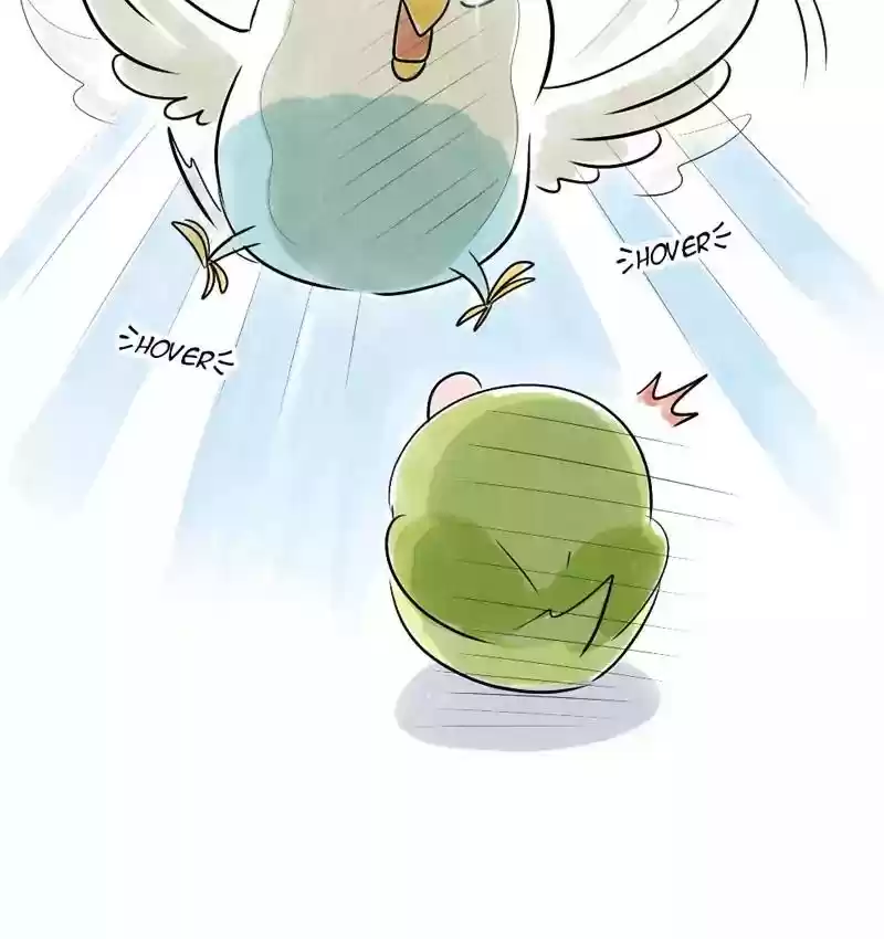 A Budgie's Life Chapter 108: Ep.108: