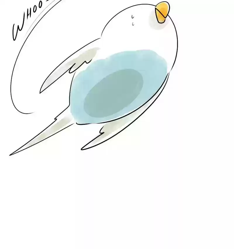 A Budgie's Life Chapter 108: Ep.108: