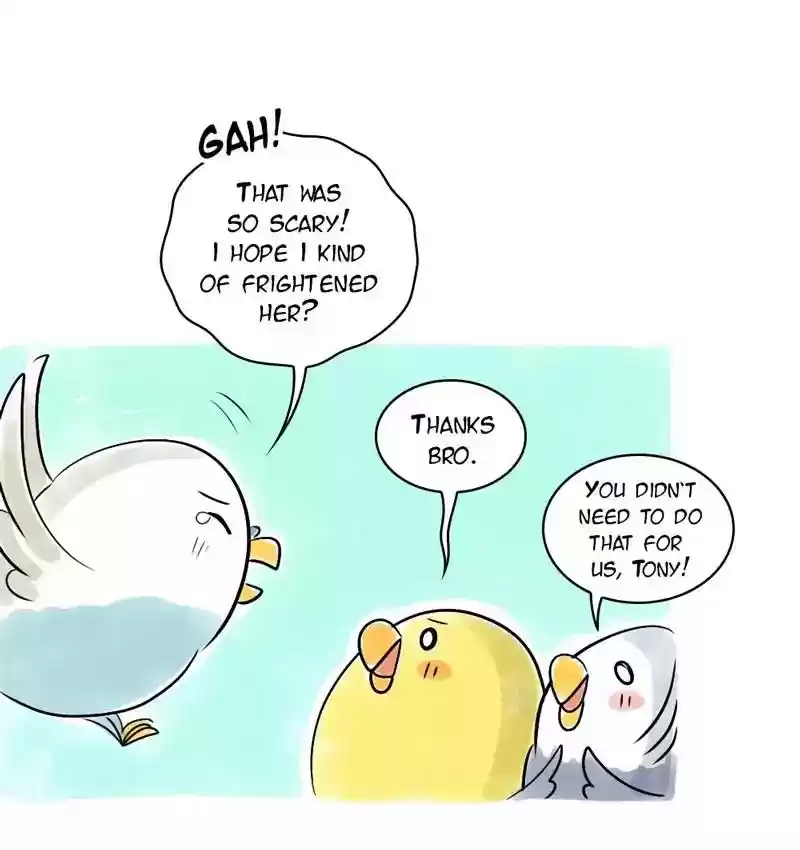 A Budgie's Life Chapter 108: Ep.108: