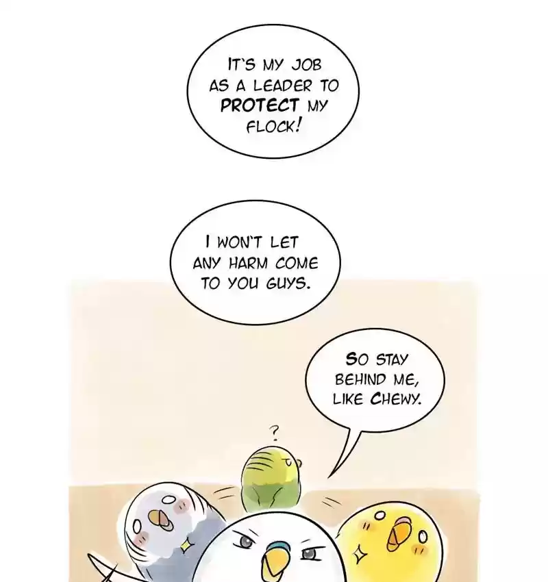 A Budgie's Life Chapter 108: Ep.108: