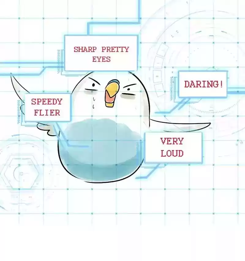 A Budgie's Life Chapter 108: Ep.108: