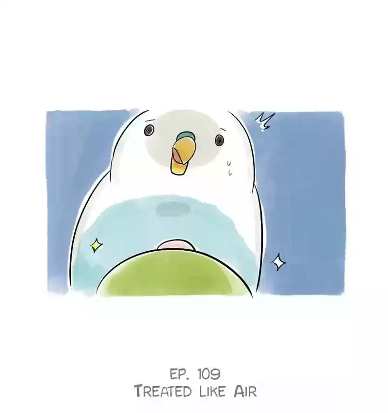 A Budgie's Life Chapter 109: Ep.109: