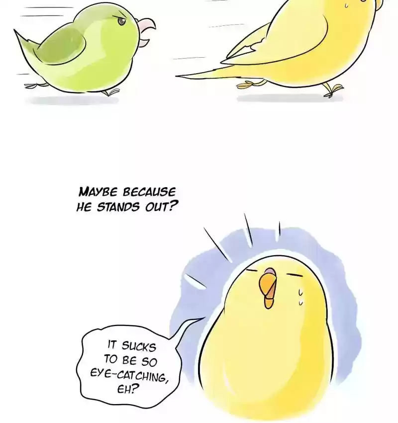 A Budgie's Life Chapter 109: Ep.109: