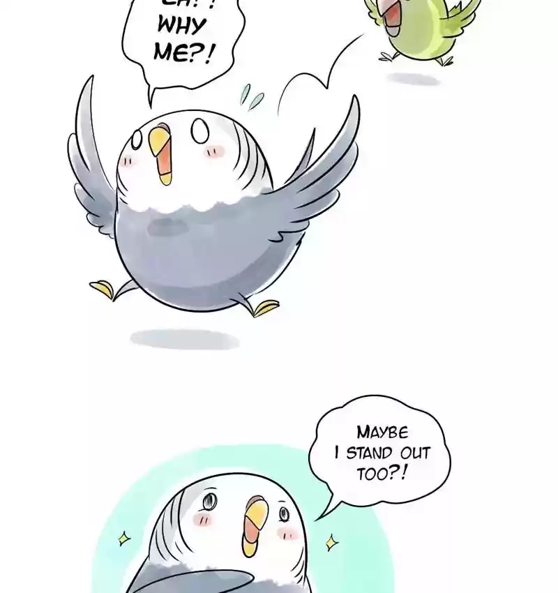 A Budgie's Life Chapter 109: Ep.109: