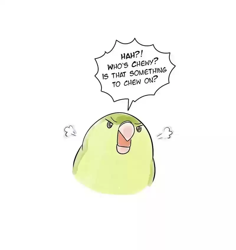 A Budgie's Life Chapter 109: Ep.109: